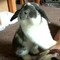 0572878c5780f41dd6cec02321db6cb2ce003efd_thumb