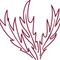 Daicrinne_leaves_thumb