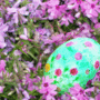 02c16842c3e9064d061ad9517732cc4085fce064_large