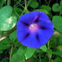 4db1fc9c99593d5bf9cd759e031439c9d00a492a_large