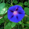 4db1fc9c99593d5bf9cd759e031439c9d00a492a_thumb