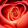 B04e4e32bd4455112291016cdb86aeb44b94a3f7_large
