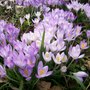 100_2324_large