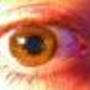 1fe0c2d2752be6b33ceb6011b117ec2d151e0efe_large