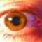 1fe0c2d2752be6b33ceb6011b117ec2d151e0efe_thumb