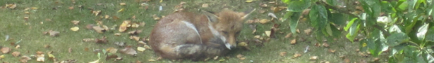 Burdaaboutmebanner_show