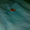 Ab161842b5cd589e4451ee25e9c59226fd274bed_grid