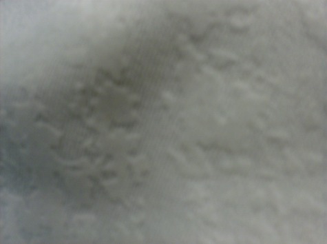 848175381287530330234728458a638b09302f0e_large