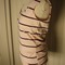 P8240628_grid