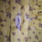A6045e31a876c505ca238fb5f951150cf6d05ff1_grid