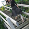 Dsc_0256_burda_grid