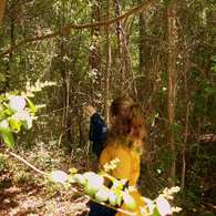 Into_the_woods_listing